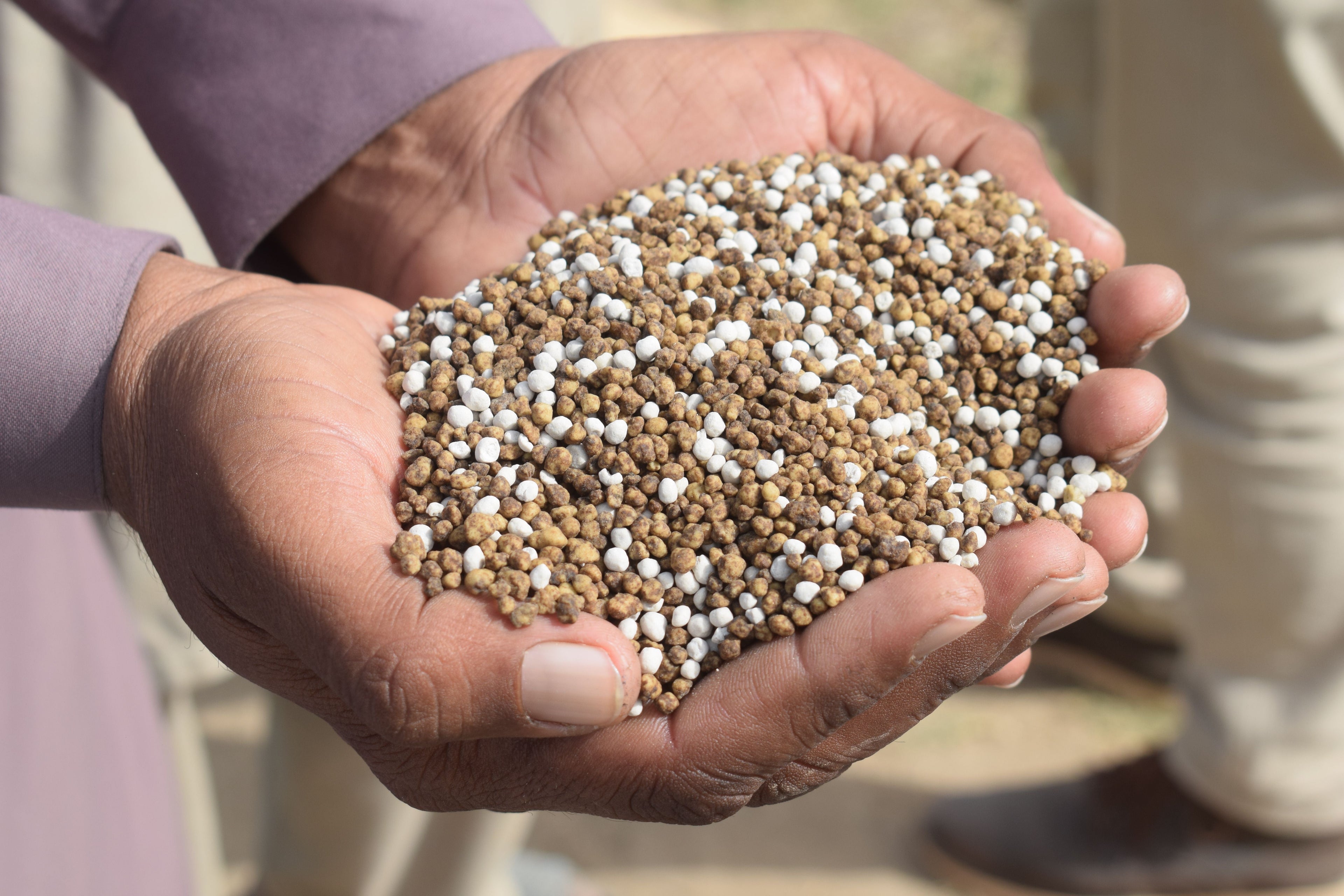 Common Fertilizer Mistakes and How to Avoid Them